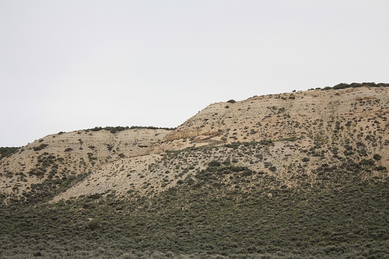 Fossil Butte National Monument